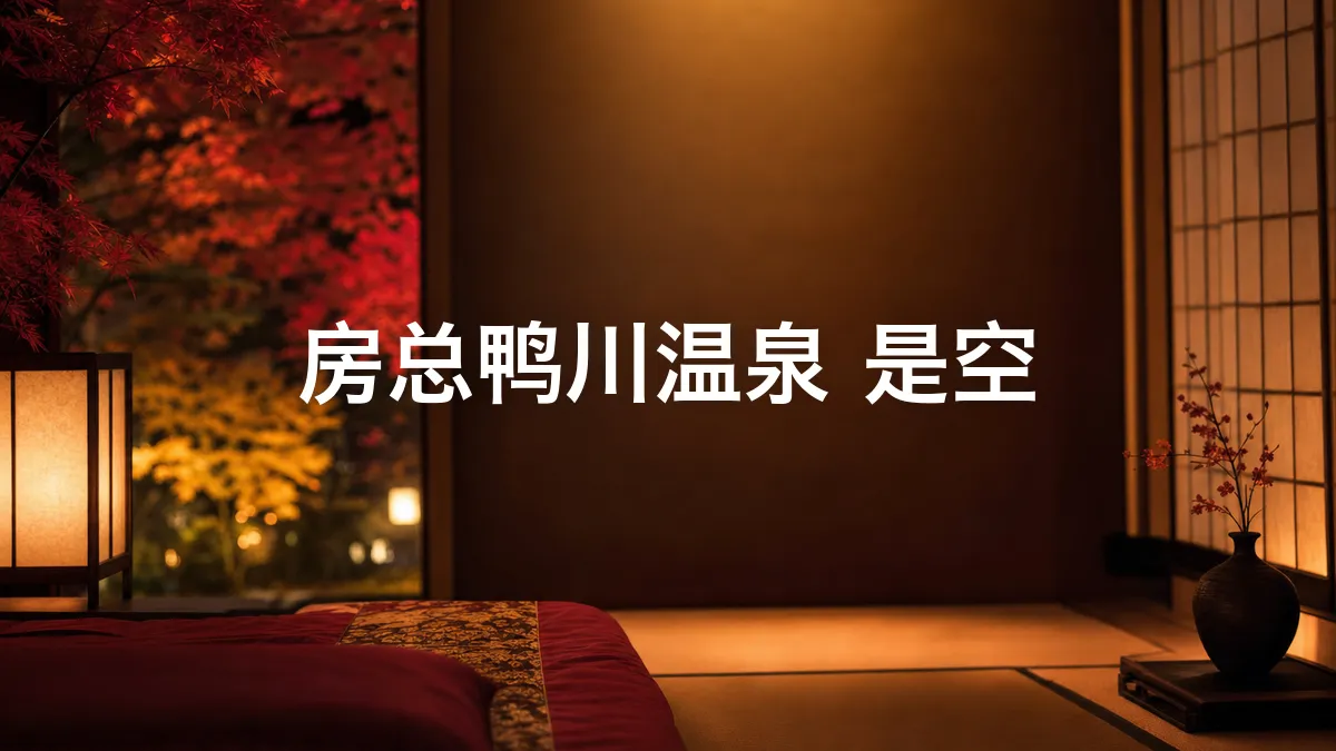 关于房总鸭川温泉 是空的调查