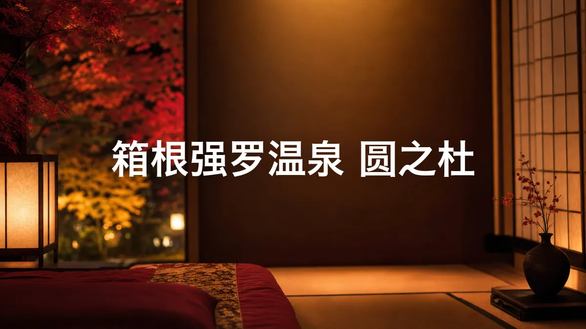 调查了一下圆之杜