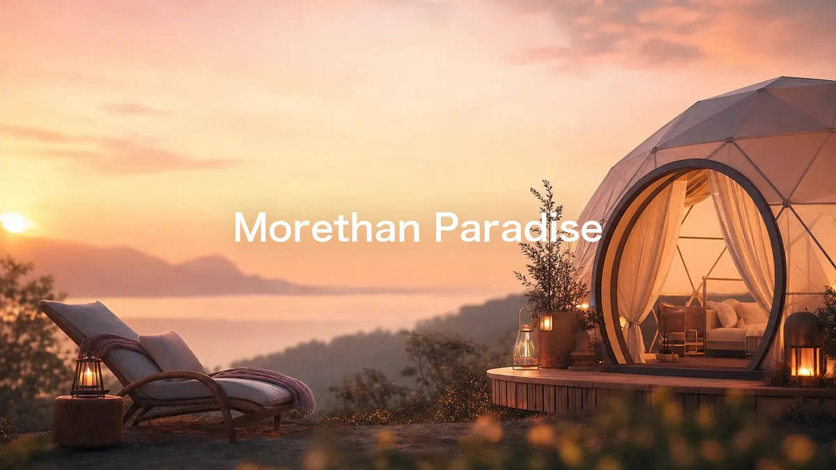 调查了一下Morethan Paradise