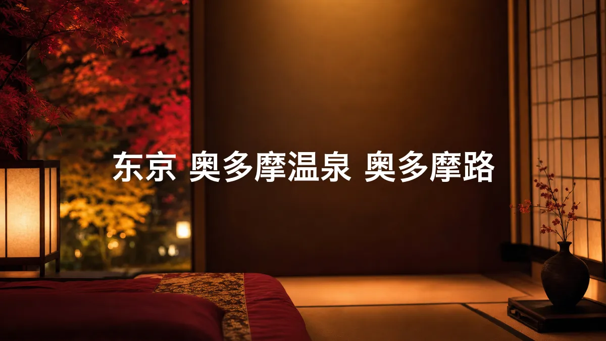 调查了一下东京 奥多摩温泉 奥多摩路